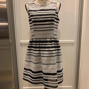 Kensie Black With White Lace Dress